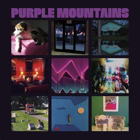 purple mountains (self titled)